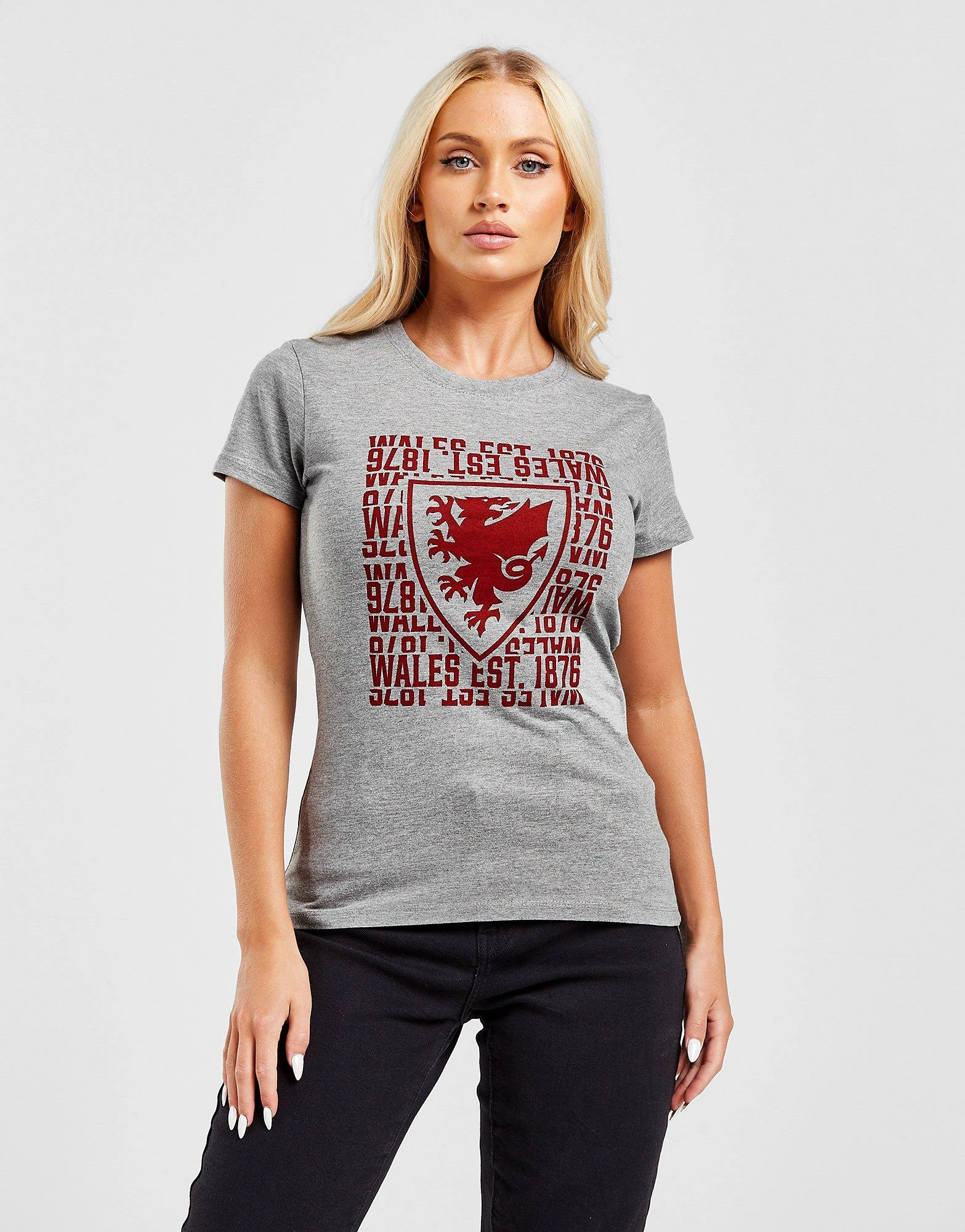 Official Team Wales 1876 T-Shirt Grå - Billede 3