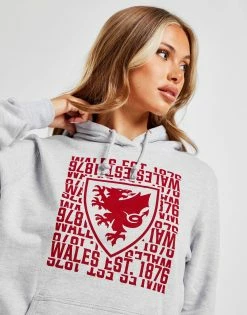 Official Team Wales 1876 Hoodie Grå